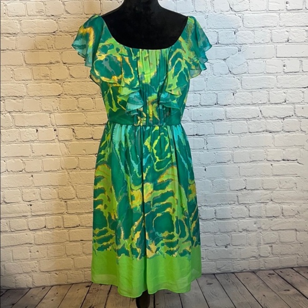 Max and Cleo Molly Ruffles Chiffon Dress size 6
